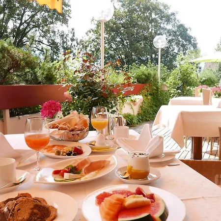 Alpin - Hotel